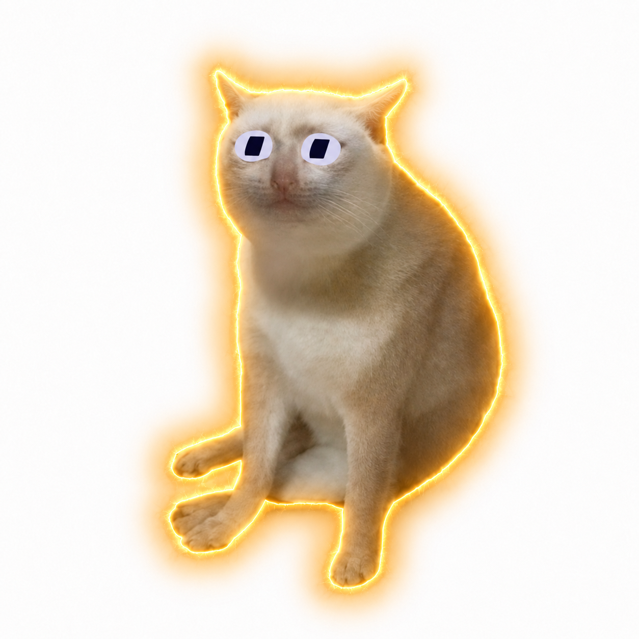 FOMOCASH cat with wide square pupils and a golden glow